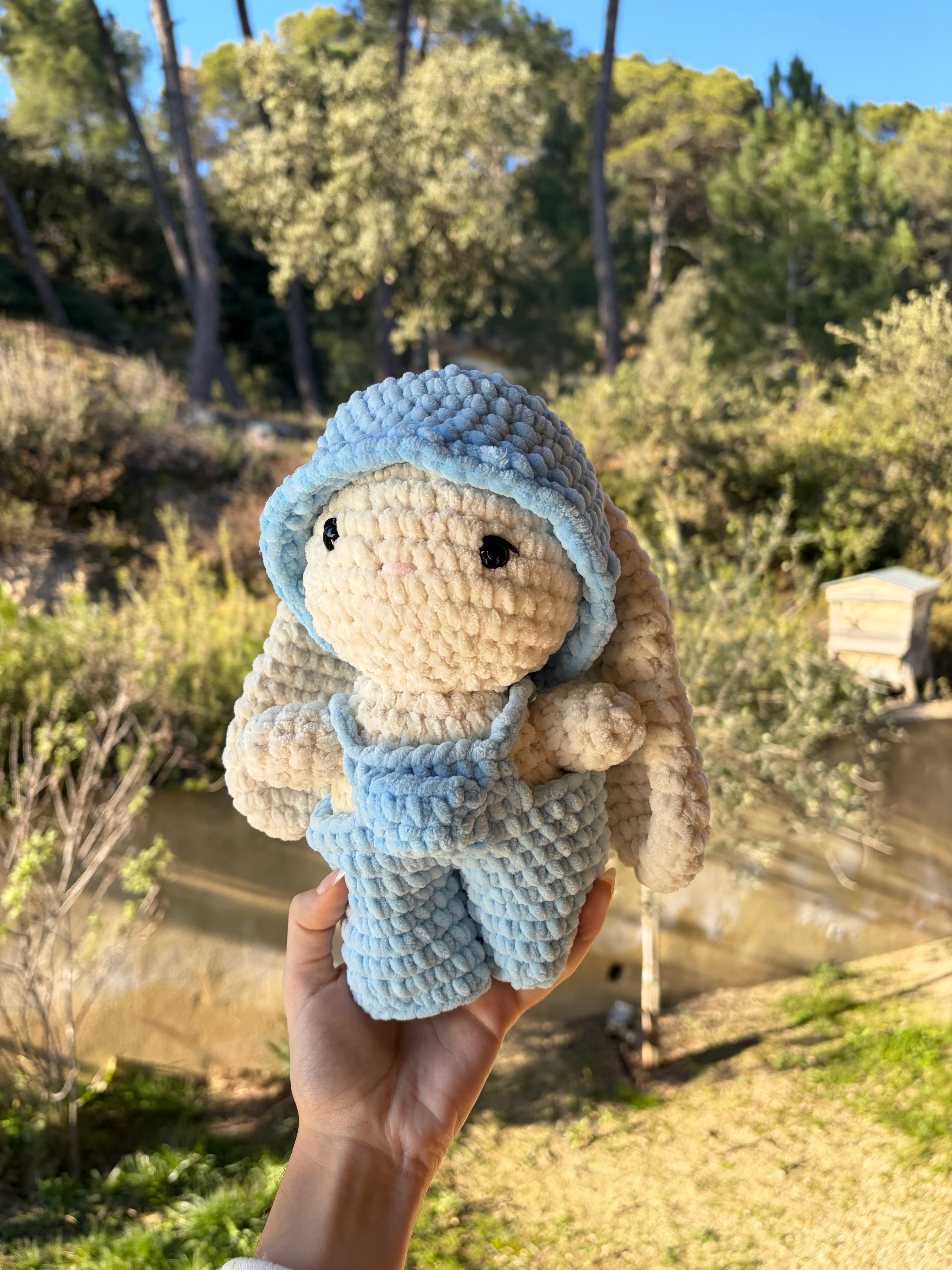 Lapin en salopette