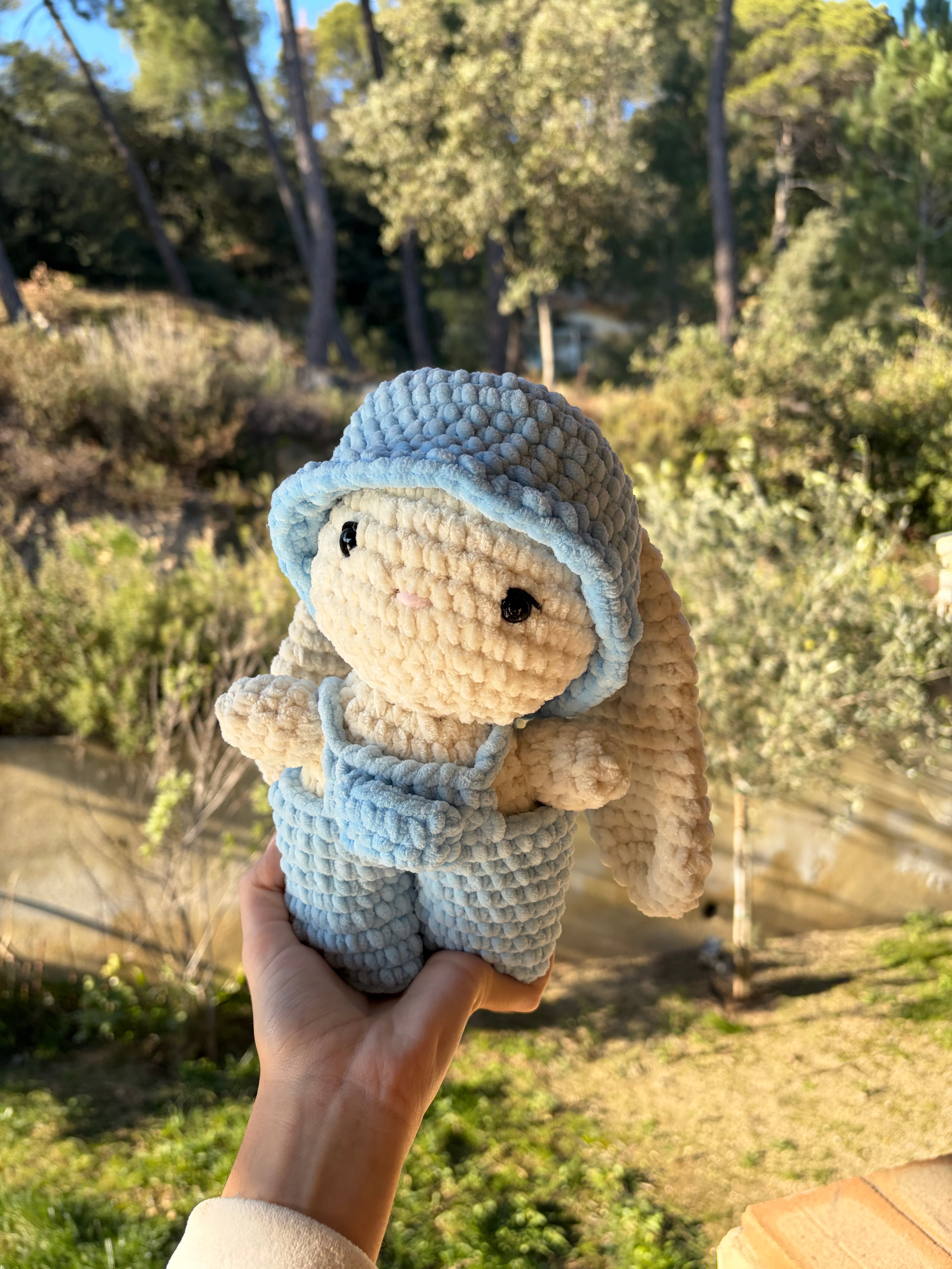 Lapin en salopette