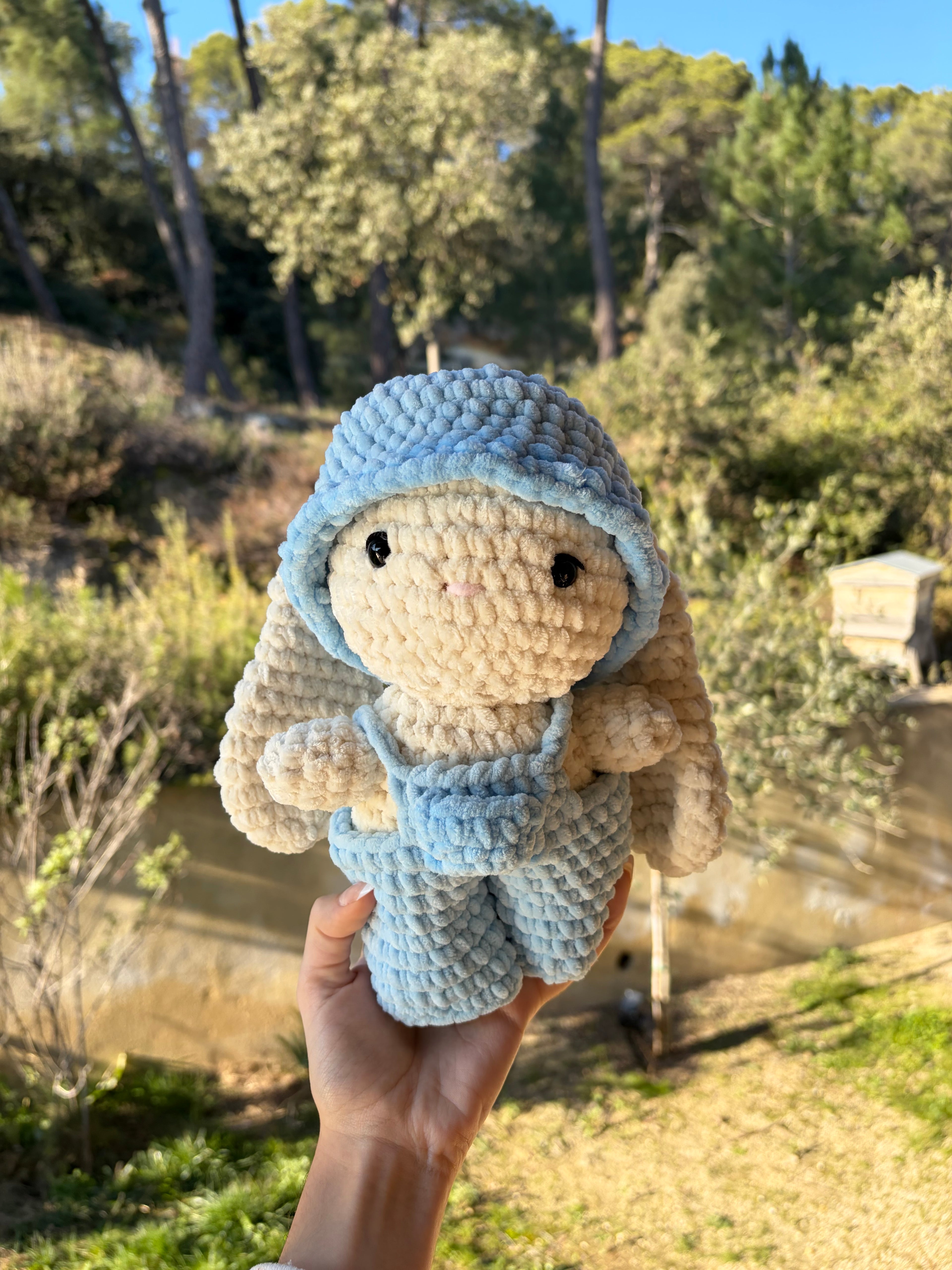 Lapin en salopette