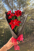 Bouquet « Redly »