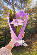 Bouquet « Lilora »