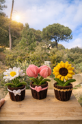 Fleur en pot à l’unité